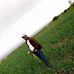 James Wamwiri - Facebook