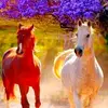 Jamil Ahmad - @jamil.ahmad097 - TikTok