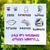 Jamila Ali - @jamila.ali529 - TikTok