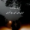 Fahad Bhatti - @jamil.bhatti518 - TikTok