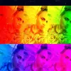 Jami Lee Brown - @jamileebrown - TikTok