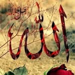 Jamil maysht - @jamilmaysht - Instagram