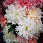 Maysoon Jamil - @jamilmaysoon - Instagram
