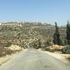 jamilmusa969 - @jamilmusa969 - TikTok