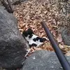 Jamil Torres - @jamil.torres7 - TikTok