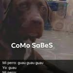 Jamil Torres - @jamil.torres.777363 - Instagram