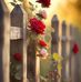 Jamila Qwaret - Facebook