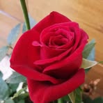 Jamila Jamal - Facebook