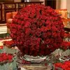Jamila Jamali - @jamila.jamali1 - TikTok