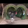jamilarichards1 - @jamilarichards1 - TikTok