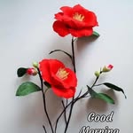 Jamila Shaikh - @jamila.shaikh.712161 - Instagram