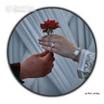 Jamila Shaikh - Facebook