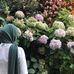 Jamila El Sheikh - Facebook