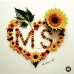 jamila sheikh - @jamilasheikh123 - Instagram