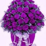 jamila sheikh - @jamila9688475 - Instagram