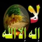 Jamila Sheikh - @jamila.sheikh - Instagram