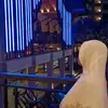 Jamila🧕🏻🪻 - @jamilahalii - TikTok