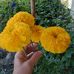 Jamilah Ismail - Facebook