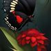 Jamile Lopez - Facebook