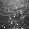 Jamilia Marcus - @marcusjamiljd - TikTok