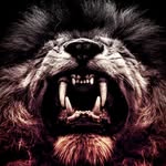Jamill Smith - @philly_made_ - Instagram