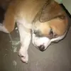 jamillamilanclark - @jamillamilanclark - TikTok