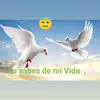 Rosa Consalez - @jamillajones4 - TikTok