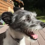 Ben - @jaminjones06 - Instagram