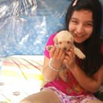 Jamin Martínez - @jamin.martinez.12177 - Instagram