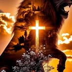 Janaina Goes - Facebook