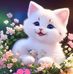 Jumira TayLor - Facebook