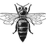 Jamison Brown - @thewhistlingbeekeeper - Instagram