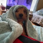 Jamison Campbell - Facebook
