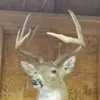 jc outdoors - @jamisoncampbell8 - TikTok