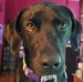 Jamison Conley - Facebook