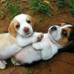 jamison - @jamison_cook_ - Instagram