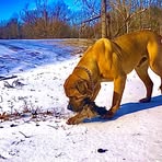 Jamison Cook - Facebook