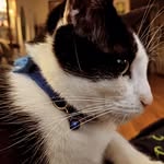 Jamison England - @englandjamison - Instagram