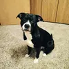 jamisongarcia419 - @jamisonog - TikTok
