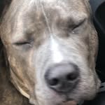 Jamison Harper - @karleighharper - Instagram
