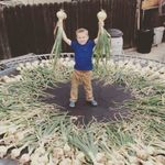 Jamison Hayes - @hayes.jamison - Instagram