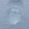Howard - @howardjamison1374 - TikTok