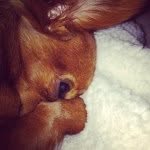 Kerri - @kerrijamison2001 - Instagram