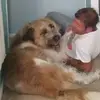 Sammy Jamison-McDonald - @sammy.jamisonmcdo - TikTok