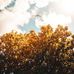 Jamison Mckay - Facebook