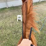 @jamison_western_riding48 - Instagram