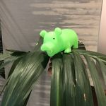 Green/Jamón - @greenappleandeljamonadventures - Instagram