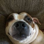 @jamon_green_11 - Instagram
