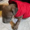Jamy smith - @jamy.smith5 - TikTok