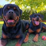 Jan Adair - @adair.jan - Instagram